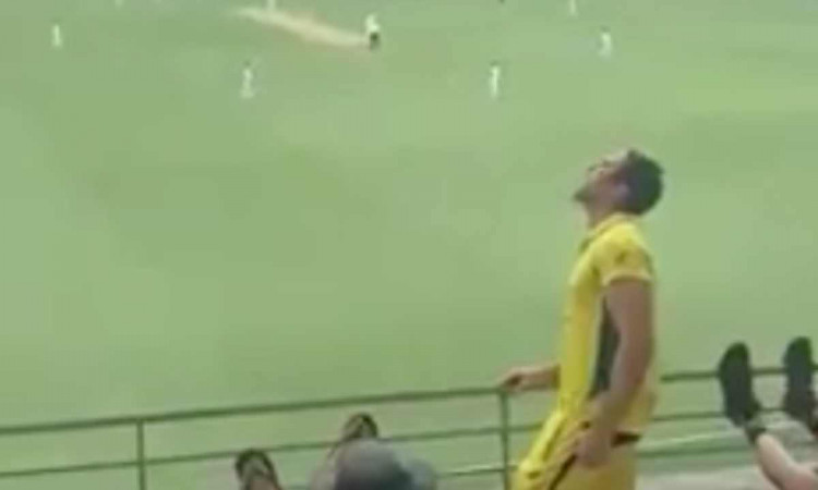 Cricket Image for VIDEO : जब ऑस्ट्रेलियन फैन ने लगाए टीम इंडिया के लिए जयकारे, पूरे स्टेडियम में गूं