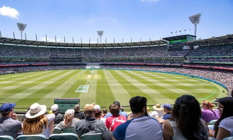 Cricket Image for AUS vs IND: Indian Fan Complains Of Racism At Sydney Cricket Ground