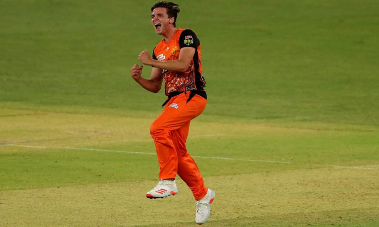 Cricket Image for Jhye Richardson Guides Perth Scorchers To A Win Against Hobart Hurricanes 