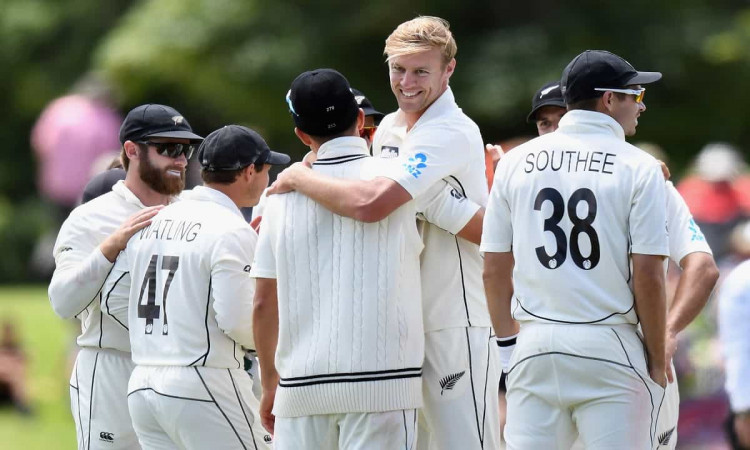 image for cricket new zealand vs pakistan