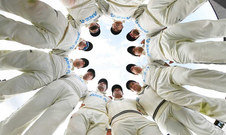 image for cricket new zealand no.1 in test rankings
