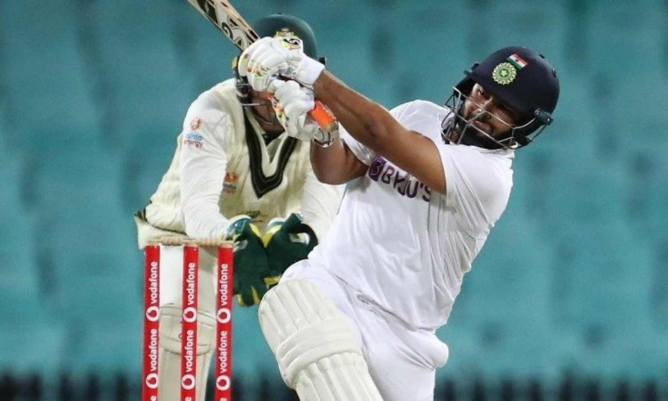 Cricket Image for Rishabh Pant Brisbane test