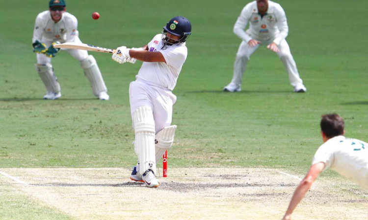 Cricket Image for ओ, पंत तेरा क्या कहना, ऑस्ट्रेलिया को घर में घुसकर चटाई धूल, सोशल मीडिया पर नहीं र