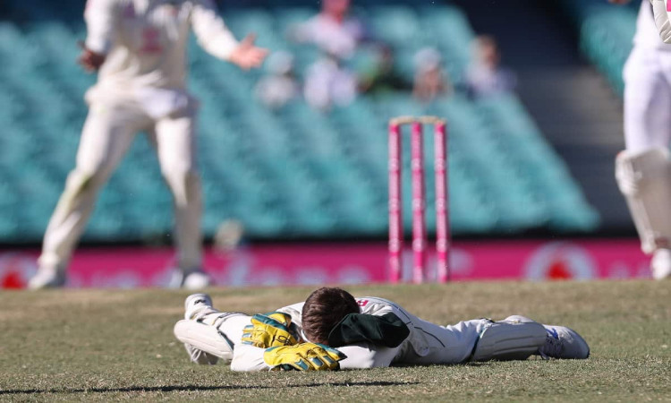 image for cricket australia vs india scg test 