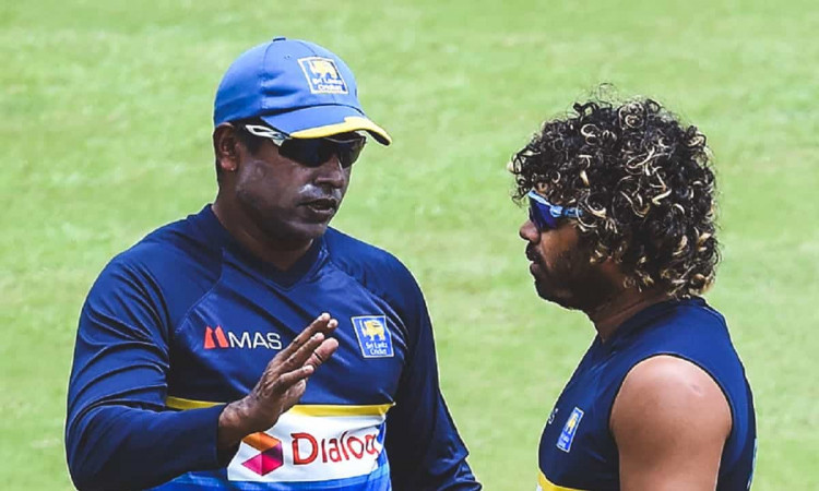 Cricket Image for चामिंडा वास ने अचानक श्रीलंका के गेंदबाजी कोच पद से दिया इस्तीफा, कारण है चौंकाने 