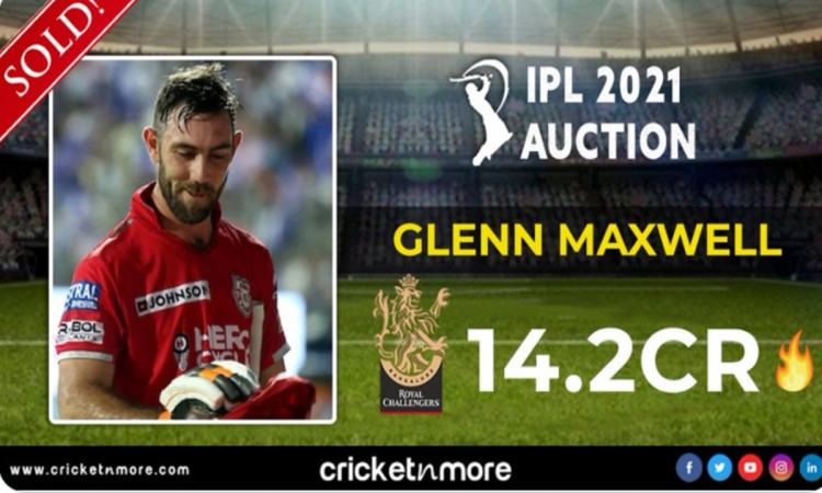 Cricket Image for Ipl Auction 2021 Twitter Reaction After Glenn Maxwell Sold To Rcb For More Than 14