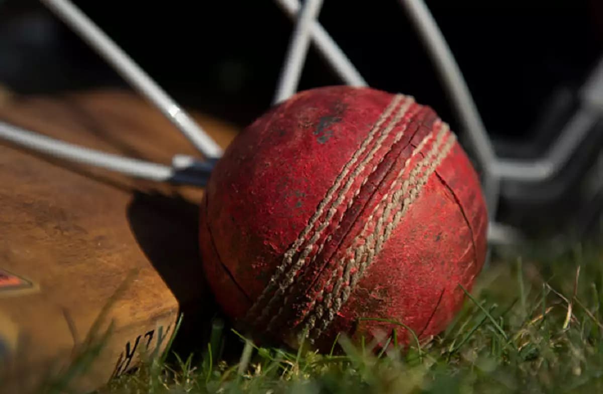 Vijay Hazare Trophy Knockout matches of Vijay Hazare to be played in Delhi