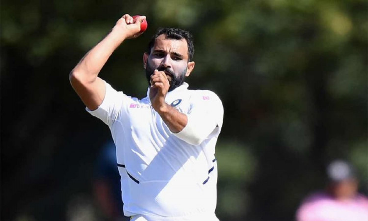 Cricket Image for मोहम्मद शमी ने शुरू की ट्रेनिंग, इंग्लैंड के खिलाफ डे-नाइट टेस्ट से हो सकती है टीम