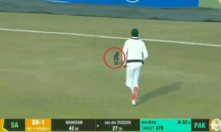 Cricket Image for Azhar Ali Chases Cat On The Field
