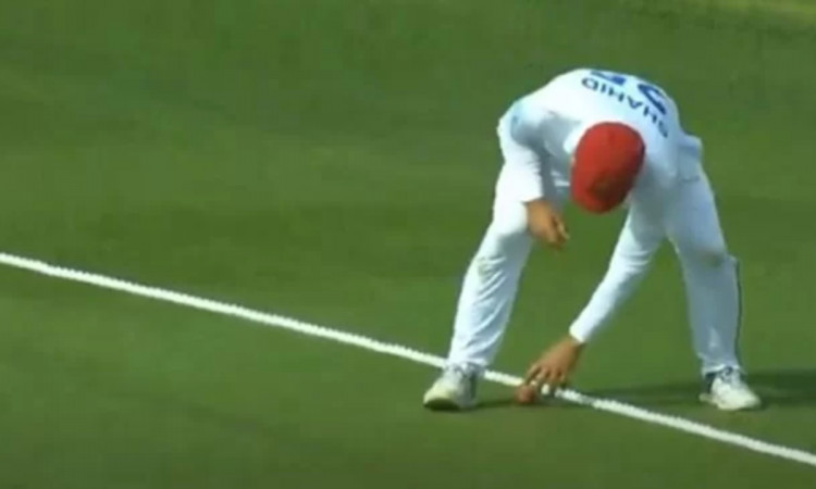 Cricket Image for Afghanistan Vs Zimbabwe Hashmatullah Shahidi Bizarre Ploy During Second Test
