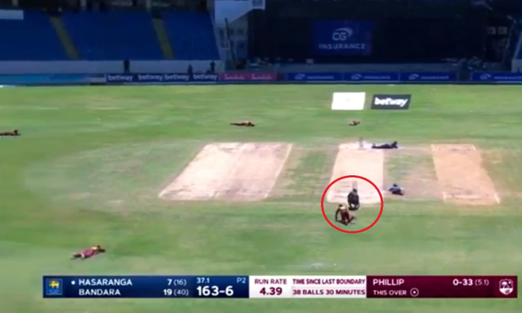 Cricket Image for Bees Interrupt During West Indies And Sri Lanka Third Odi Match