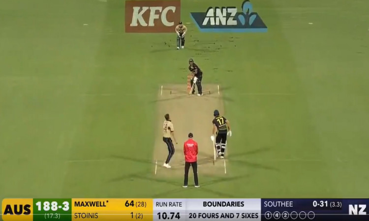 Cricket Image for New Zealand Vs Australia 3rd T20i Glenn Maxwell Scored 70 Runs From Just 31 Balls
