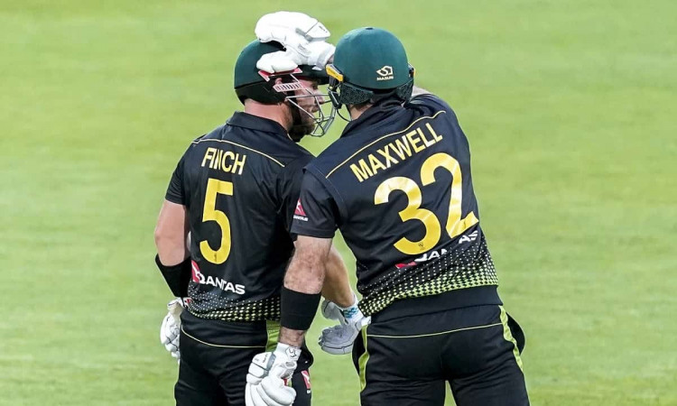 Cricket Image for By Outstanding Innings Of Maxwell And Finch Australia Defeated New Zealand By 64 R