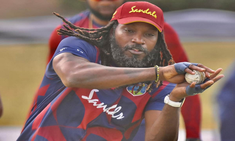 Cricket Image for 'That's Where My Heart Is': Gayle Won't Turn Down Playing For West Indies 
