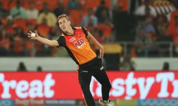 Cricket Image for Billy Stanlake And Reece Topley Reject Csk Offer As A Replacement Of Josh Hazlewoo