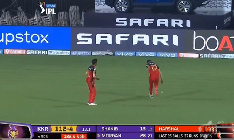 Cricket Image for Mohammed Siraj And Yuzvendra Chahal Drop Catch Watch Video