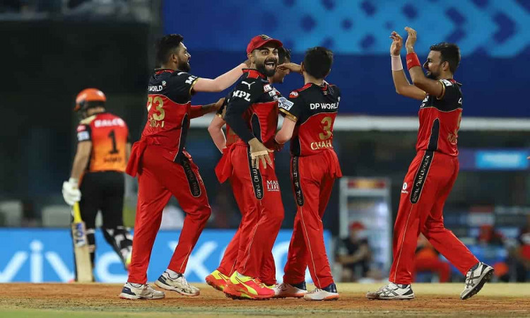 Cricket Image for Bangalore Beat Sunrisers Hyderabad By 6 Runs To Secure Their Second Successive Win