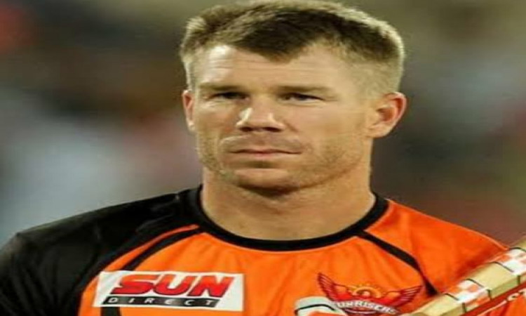 We failed to execute plans while bowling: Warner