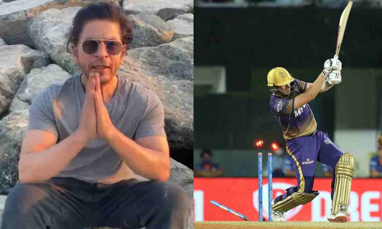 IPL 2021: SRK Apologizes After KKR Gifts MI A Win  