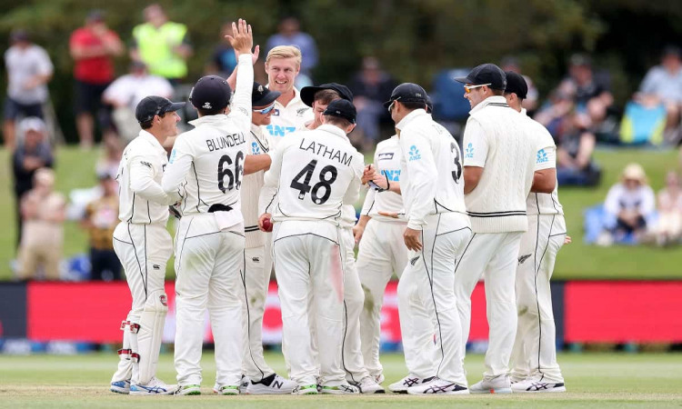 Cricket Image for New Zealand Announces 20-Man Squad For England Trip In June 