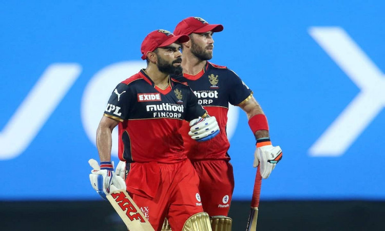Cricket Image for Glenn Maxwell Entered Rcb With The Help Of Virat Kohli Big Show Opened Its Own Sec