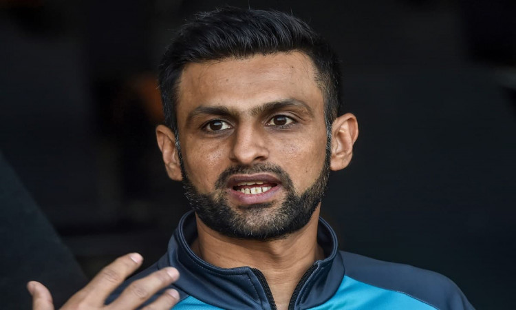 Cricket Image for Shoaib Malik's Scathing Attack After Pakistan's Loss To Zimbabwe