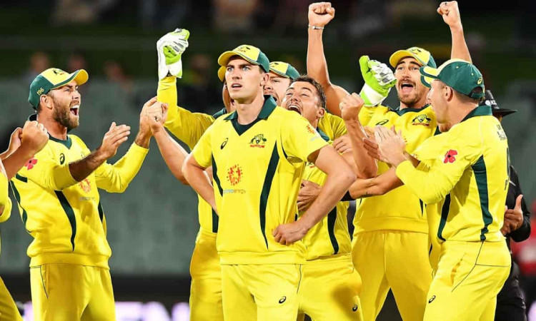 Cricket Image for वेस्टइंडीज वनडे,T20 सीरीज के लिए ऑस्ट्रेलिया की प्रारंभिक टीम की घोषणा,डेविड वॉर्न