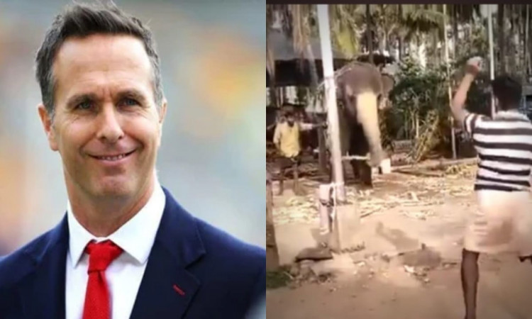 Could replace Malan in T20s - Twitterati respond as Michael Vaughan shares a video of an elephant pl