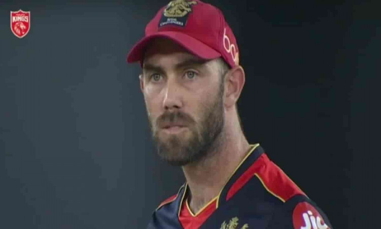 Cricket Image for Pbks Vs Rcb Glenn Maxwell Refuses To Go Back To The Dugout Watch Video