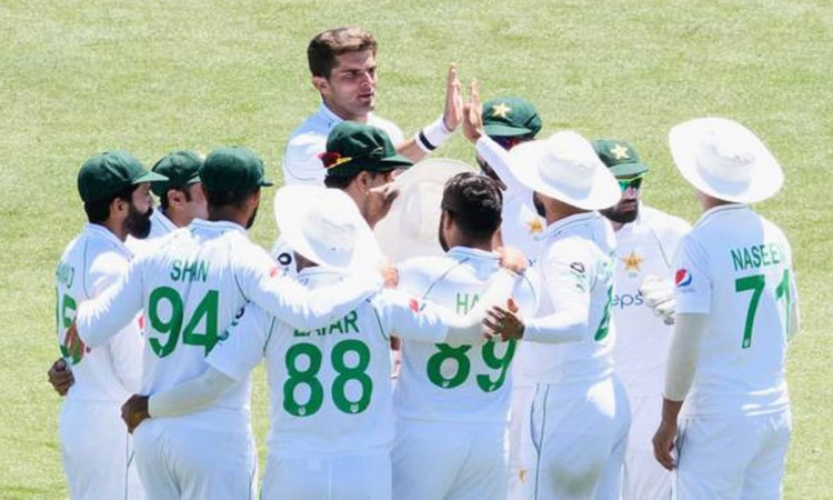 Cricket Image for 2nd Test: पाकिस्तान ने जिम्बाब्वे को पारी और 147 रन से रौंदकर जीती सीरीज, इन दो खि