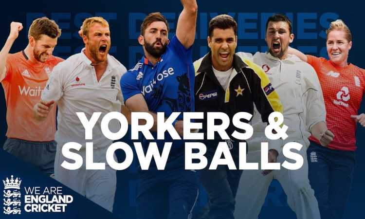 Yorkers & Slowballs