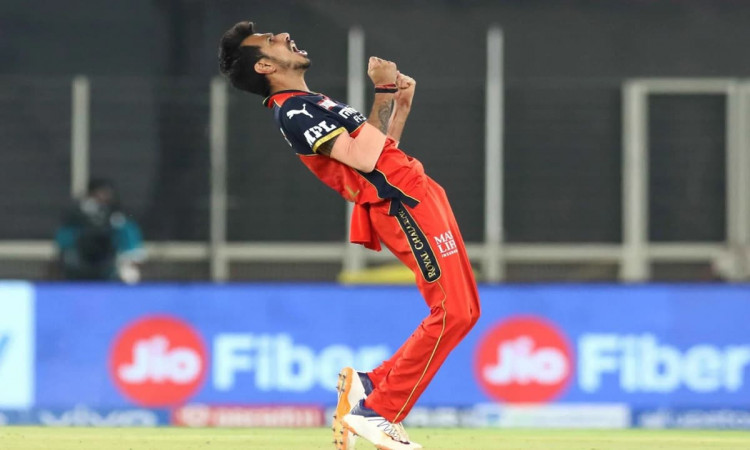 Cricket Image for Chahal's Spot Not Under Scanner After Pbks Loss: RCB's Simon Katich