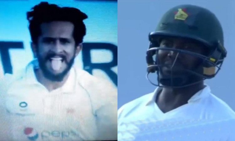 Cricket Image for Zim Vs Pak Hasan Ali And Luke Jongwe Fight Watch Video