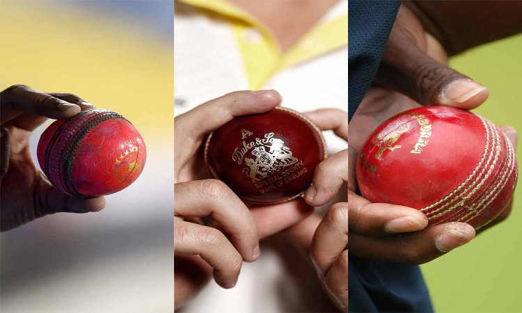 Duke Ball vs Kookaburra vs SG Cricket Ball - What Is The Difference?