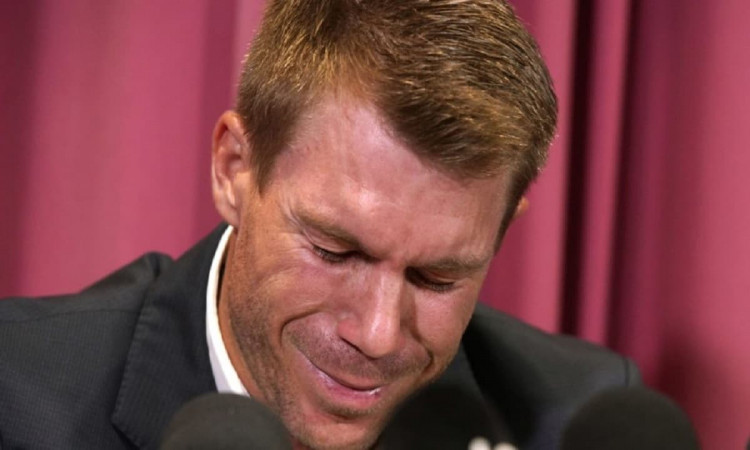 Cricket Image for David Warner's Manager Hits Out At CA For Being Partial In Investigation
