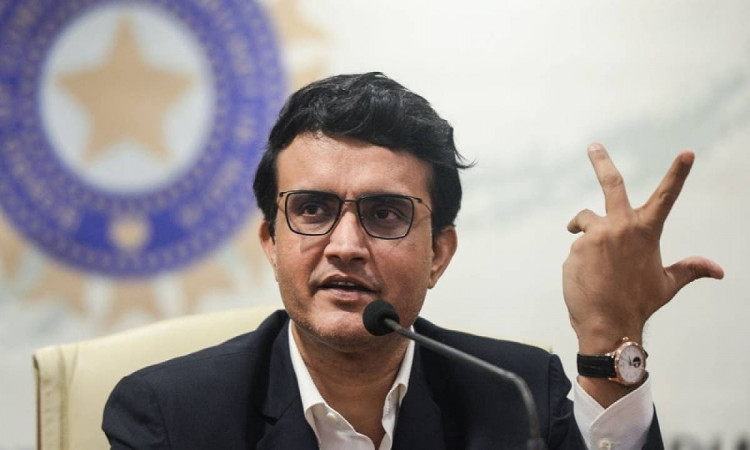 Cricket Image for Ganguly Expresses Displeasure Over This Decision Of Removing W V Raman By Cricket 