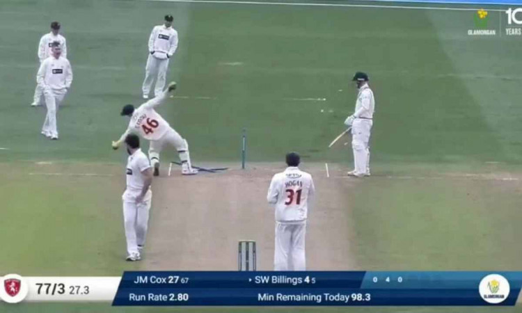 Cricket Image for VIDEO : स्टंप्स से कुछ ऐसे भिड़ा ये विकेटकीपर, बीच मैदान ज़ोर-ज़ोर से हंसने लगे सा