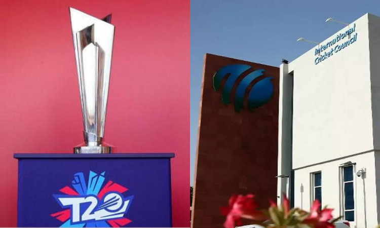 Cricket Image for Icc Can Take A Big Decision On The Number Of Teams In T20 World Cup