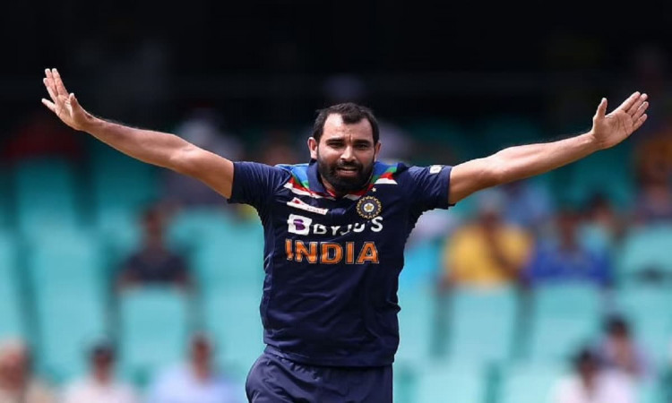 Cricket Image for Indian Bowler Mohammed Shami Said Rohit Gives Freedom To Bowlers 