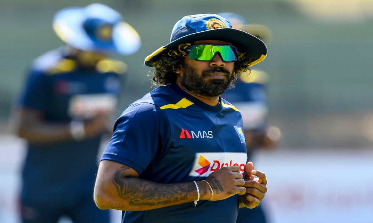 Cricket Image for Lasith Malinga Likely To Return To Play For Sri Lanka In T20 World Cup