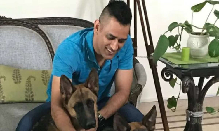 A new guest named Chetak came to Dog Lover Dhoni's house, wife Sakshi wrote a welcome message
