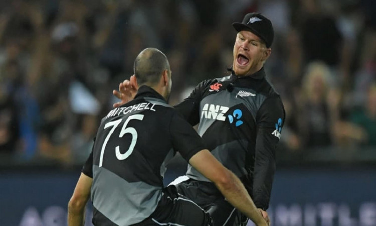 Cricket Image for New Zealand Cricket Signed National Contract With Mitchell And Phillips For The Fi