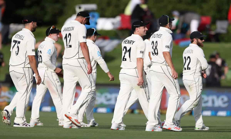 Cricket Image for New Zealand Cricket Team Journey To World Test Championship Final 