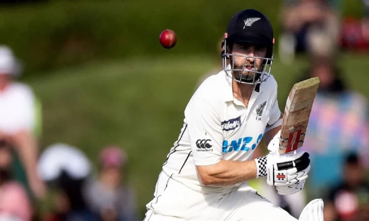 Cricket Image for Focus On England But Excited For WTC Final, Says NZ's Kane Williamson