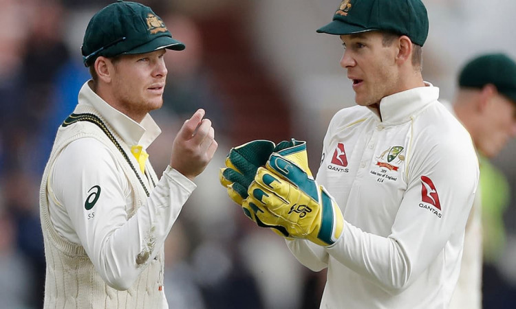 Cricket Image for Would Support Steve Smith If He Becomes Australian Captain Again: Tim Paine