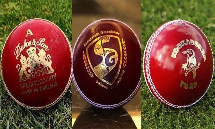 Cricket Image for Duke Ball vs Kookaburra vs SG Cricket Ball - What Is The Difference? 