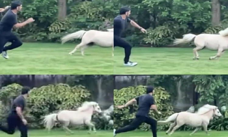 Cricket Image for धोनी ने दिखाई अपनी फिटनेस, घोड़े के साथ लगाई रेस,वाइफ साक्षी ने शेयर की VIDEO