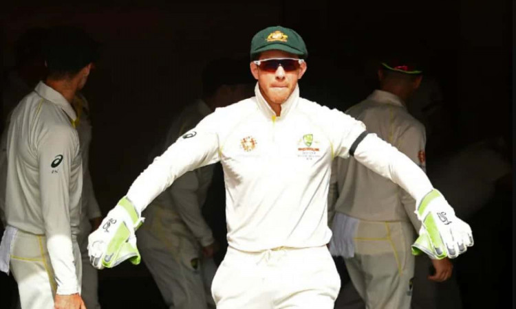 Cricket Image for Tim Paine Apologises To New Zealand For Predicting India Would Be Easy Winners