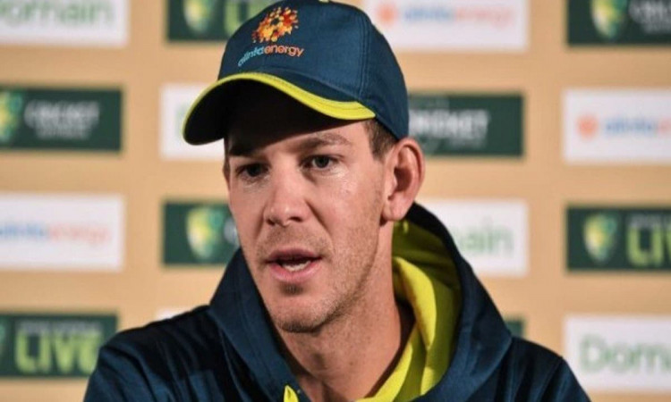 Cricket Image for Don't Read Too Much Into England's Loss To New Zealand Says Tim Paine