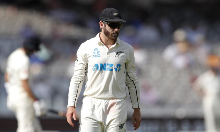 Cricket Image for Expected Day 5 Lord's Pitch To Detoriate, Says New Zealand's Kane Williamson